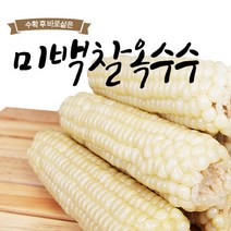 미백찰옥수수(특) 3개 x 10팩