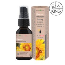 팜그린 프리미엄 프로폴리스 스프레이 캐나다산 30ml, 1병(30ml)
