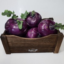 [야채마루] 국내산 콜라비 5kg 10kg 신선함 고당도 빠른배송, 1box