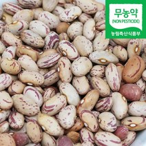 국산 무농약 호랑이 얼룩이 강낭콩 호랑이콩, 1개, 500g