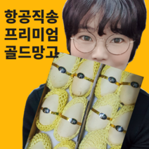 항공직수입 최상급 망고 mango 태국 골드망고 망고선물세트 5kg, 망고3kg