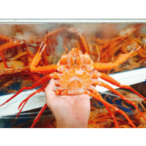 규_식품 동해에서 어획한 자숙 홍게 3kg 1012마리, 단일상품(상품명참조), Free
