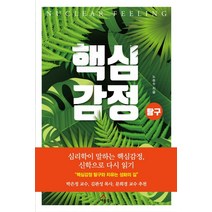 핵심감정 탐구:심리학이 말하는 핵심감정 신학으로 다시 읽기, 세움북스, 노승수 지음