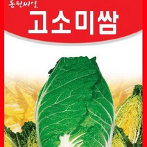 [가람종묘사] 고소미쌈배추 씨앗(속이 노랗고 수분함량이 적어 고소한 맛이 좋은 배추 품종)