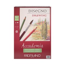 파브리아노 아카데미아 스프링 AP01 A5 200g, 10개