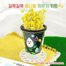 길쭉길쭉 콩나물 키우기 키트