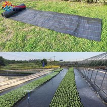 Tewango 정원 야드 지상 천 커버 풍경 헤비 듀티 잡초 장벽 블록 온실 플라스틱 뿌리 덮개 사용자 정의 크기, 1x10m