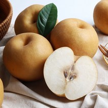 산지직송 나주배 가정용 신고배 23년 햇배, 1박스, 3kg 4~7과