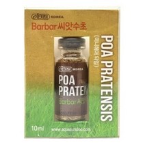 이스타 바바 씨앗수초 미니 헤어 S (1개입)