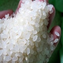 강황쌀강화쌀 인기 추천 제품 할인 특가