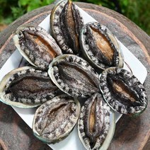 청정지역 국내산 완도 전복 산지직배송 활전복 일반용, 1kg(6-7미)