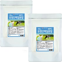 대용량 유청단백질 프로틴 파우더 보충제, 2개, 500g