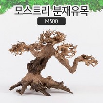 모스트리 분재유목 M602 모스 활착 수족관 레이아웃 수조