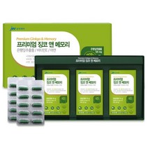 기억력 영양제 뇌 혈관 두뇌 혈액순환 집중력 영양제 은행잎 추출물 프리미엄 징코앤 메모리