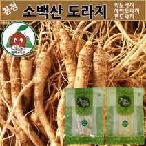 청정 영주소백산 도라지 1kg 2kg 5kg 흙_약도라지 산지직송, 약도라지, 세척도라지, 1kg(흙약도라지_특상품), 1개