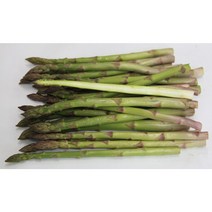 국내산 제주 아스파라거스 1kg, 5번크기 1kg(소)