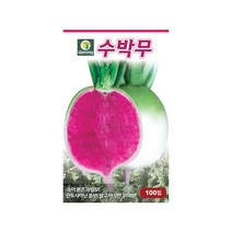 (DN) 수박무 씨앗(100립)