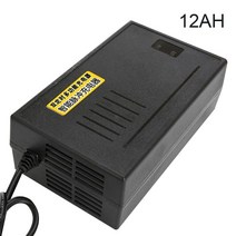 전기차충전기36V 배터리 전원 공급 장치 어댑터 충전기 출력 48V 빠른 입력 220V 리튬 이온 리튬-폴리 자동, 01 12AH