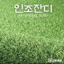 그린세상 국내생산 방염 무독성 조경용인조잔디 CX1600 CX2000 CX2800 / 테라스 정원 마당 옥상조경 베란다 실내실외 강아지애견 롤매트 인공잔디 잔디카페트, CX2800 방염, 고정폭2M x 길이25cm