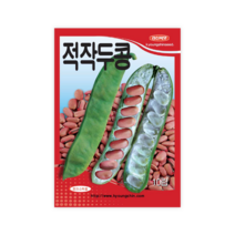 적작두콩 10립 작두콩씨앗 꼬투리와 콩이 아주 큰 적도두 경신씨앗, 1개