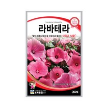 모칸도 (무배)세계 라바테라 트리메스트 꽃씨 (300립)