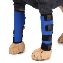 슬개골 보호대 - 반려견 슬개골 탈구 예방 재활 & 강아지 다리 십자인대 보호 보조기, 검은색, l