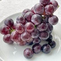 [당일작업] 바른농수산 고당도 거봉 포도 당도선별, 1개, 거봉 2송이 (1kg)