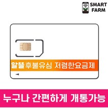 [LG U+/KT 알뜰유심] 후불유심 유심개통 누구나 개통가능 청소년 충전식요금제 요금충전 알뜰폰 알뜰유심 후불유심, 스노우맨 친구 슬림