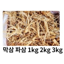 수삼 파삼 막삼 가정용 인삼 파삼 1kg 못생긴인삼 막삼 대용량, 파삼2kg