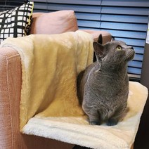 댕냥펫 고양이 창문 윈도우 창틀 침대 해먹, 그레이