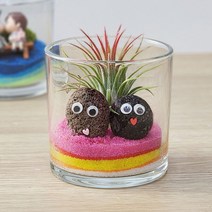 잎새몰 공기정화식물 행잉플랜트 에어플랜트 틸란드시아 이오난사 세트 모음, 이오난사테라리움 원통1010 레드톤
