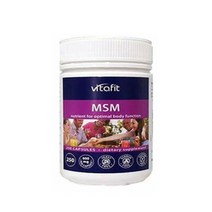 비타핏 MSM 600mg 식이유황 250캡슐