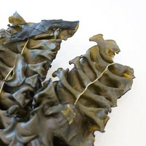 [남도장터] (완도매생이협동조합) 세모가사리 100g, 1봉