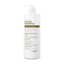 닥터라파알 아이스 쑥 쿨 샴푸 500mL 두피열 진정 탈모 증상 완화, 1개