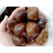 (과일천국1번지) 공주 정안 알밤 (제수용) 특~대, 3kg