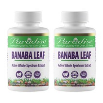 고약사바나바잎 바나나잎추출물 파라다이스허브 Banaba Leaf 180정 2병