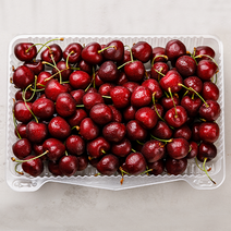 [산지에서바로] 아삭한 고당도 생 체리 프리미엄, 품질보장  체리 특 (1kg X1팩)