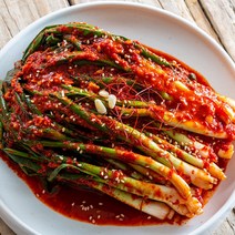 [청솔] 국내산 100% 전라도 파김치, 3kg, 1box