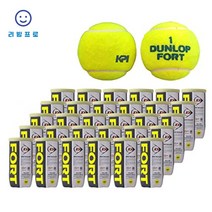 DUNLOP 던롭 경식 토끼 테니스공 2023년 포트 테니스볼 2구X30 캔 60개, 상품