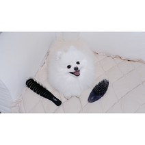 강아지 털갈이 빗 소형견 말티즈 포메 푸들 엉킨털 죽은털 제거 엘아미고 브러쉬 모음, 세트, 세트2 : 실버펄 + 블랙슬리커
