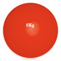 DWR 포환 연습용 실내용 6.26kg 훈련용 투포환