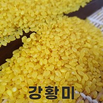 클로렐라쌀기능성쌀강황쌀 TOP20 인기 상품