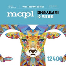MAPL 마플 시너지 고등 수학 (하) 내신대비 문제집 (2020) 2015 개정 내신대비 과정