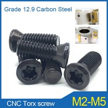 20PCS M2 M2.2 M3 M4 M5 등급 12.9 CNC 공구 나사 삽입 Torx 카바이드 선삭 인서트 교체 선반 액세서리, 05 M2.5X5