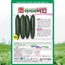 미인오이 씨앗 오이 씨 종자 10립, 단품