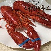 자숙랍스타 450~550g 랍스터 바닷가재, 1.캐나다 자숙랍스터 450-550g, 1개