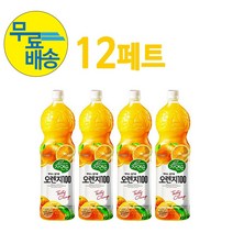 자연은 웅진 오렌지 1.5L (12페트), 1박스