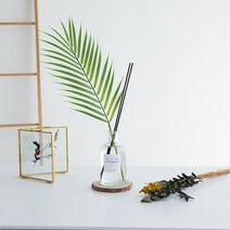 센트홀릭 이레카야자 조화 천연 실내디퓨저 대용량 200ml, 블랙체리