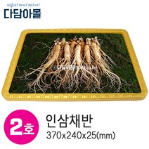 인삼 채반(크린등낮음) 2호 포장바구니 선물포장