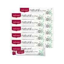 레드씰 내추럴 SLS Free 치약 110g X12개, 1개, 12개